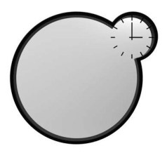 hectic-mirror.jpeg.pagespeed.ce.VY1b8m_hLc