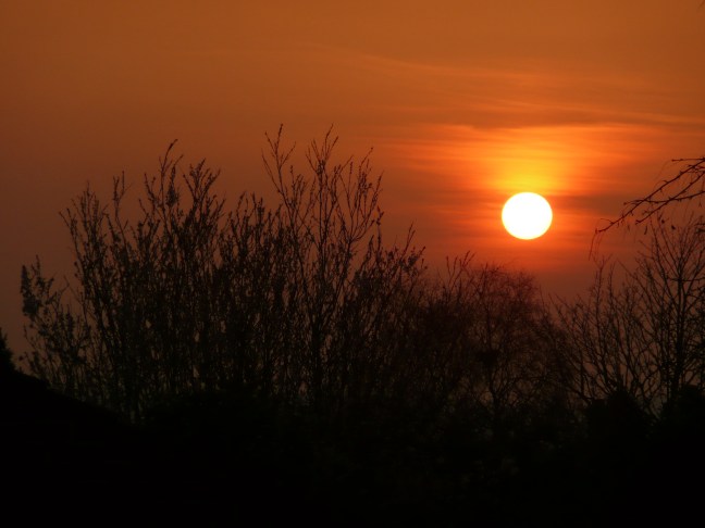 This is genuinely a view from my bedroom window