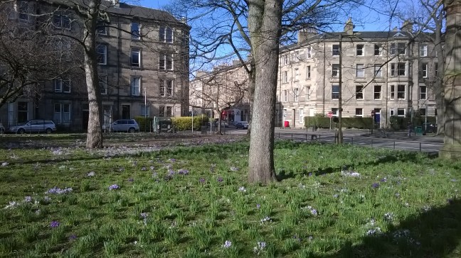 Corner of The Meadows, Edinburgh in Spring 2015