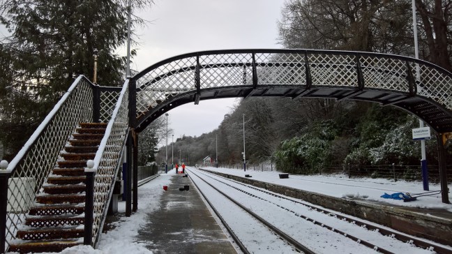 WP_20160213_08_32_50_Rich_LI