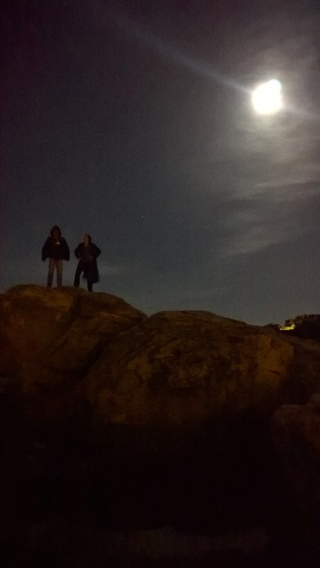 WP_20160220_19_16_34_Rich_LI