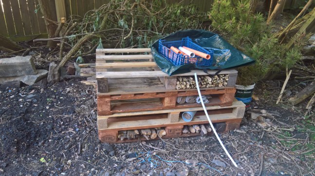 WP_20170525_12_31_52_Rich